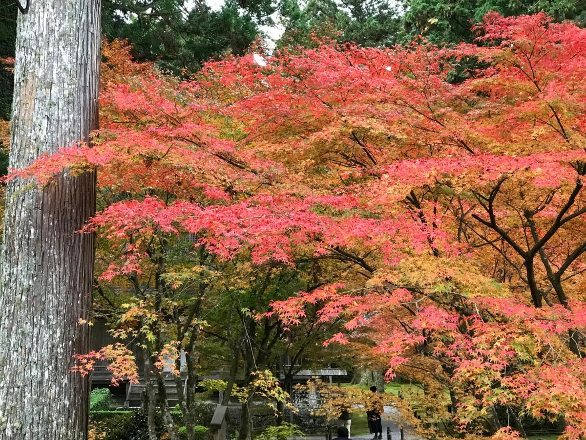 Ohara Sensui Surrounded By Beautiful Nature Villa Kyoto Exteriör bild